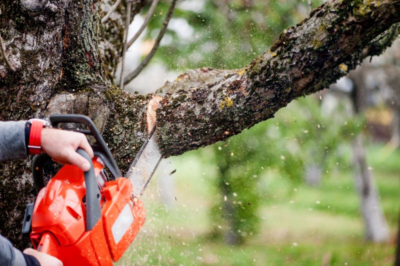 Tree Root Cutting