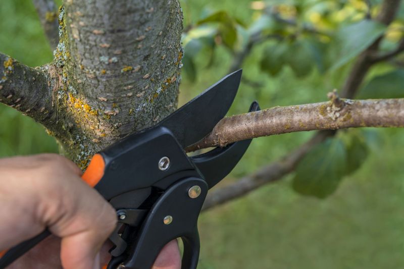 Tree Root Cutting