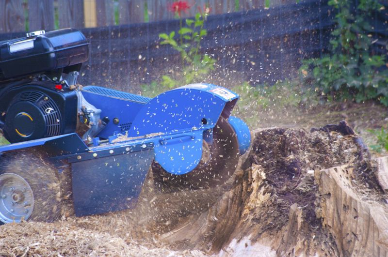 Commercial Stump Grinding in Prince Georges County, MD