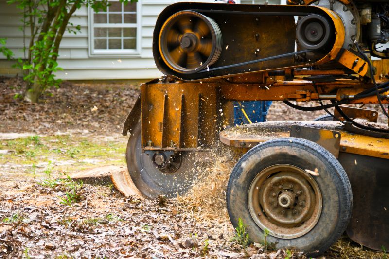 Grinding Stump Close-Up