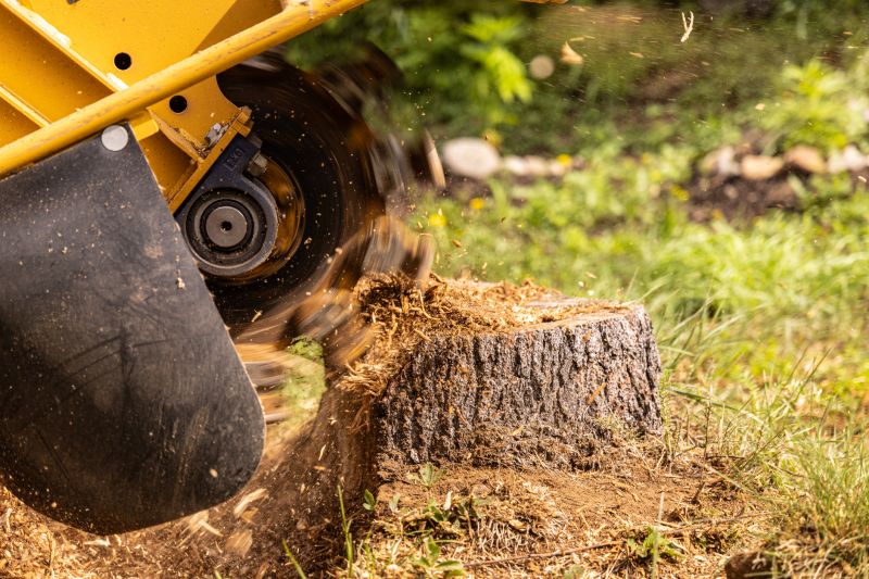 Stump Grinding Service
